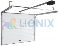 Гаражные секционные ворота DoorHan RSD01  Ш - 3200мм В - 2200мм. Пружины растяжения фото